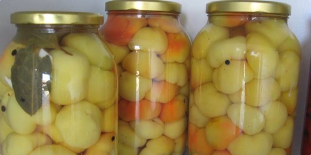 Paprika u medu